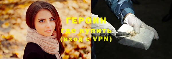 индика Бородино