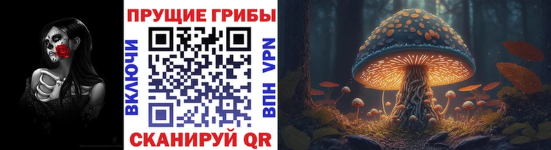 kraken маркетплейс  Дедовск  Псилоцибиновые грибы мицелий 